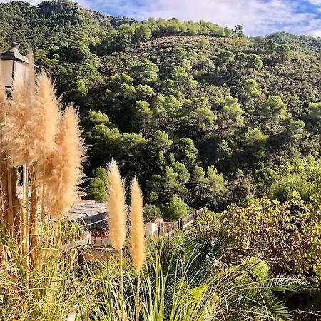 En La Aldea Perdida Frigiliana